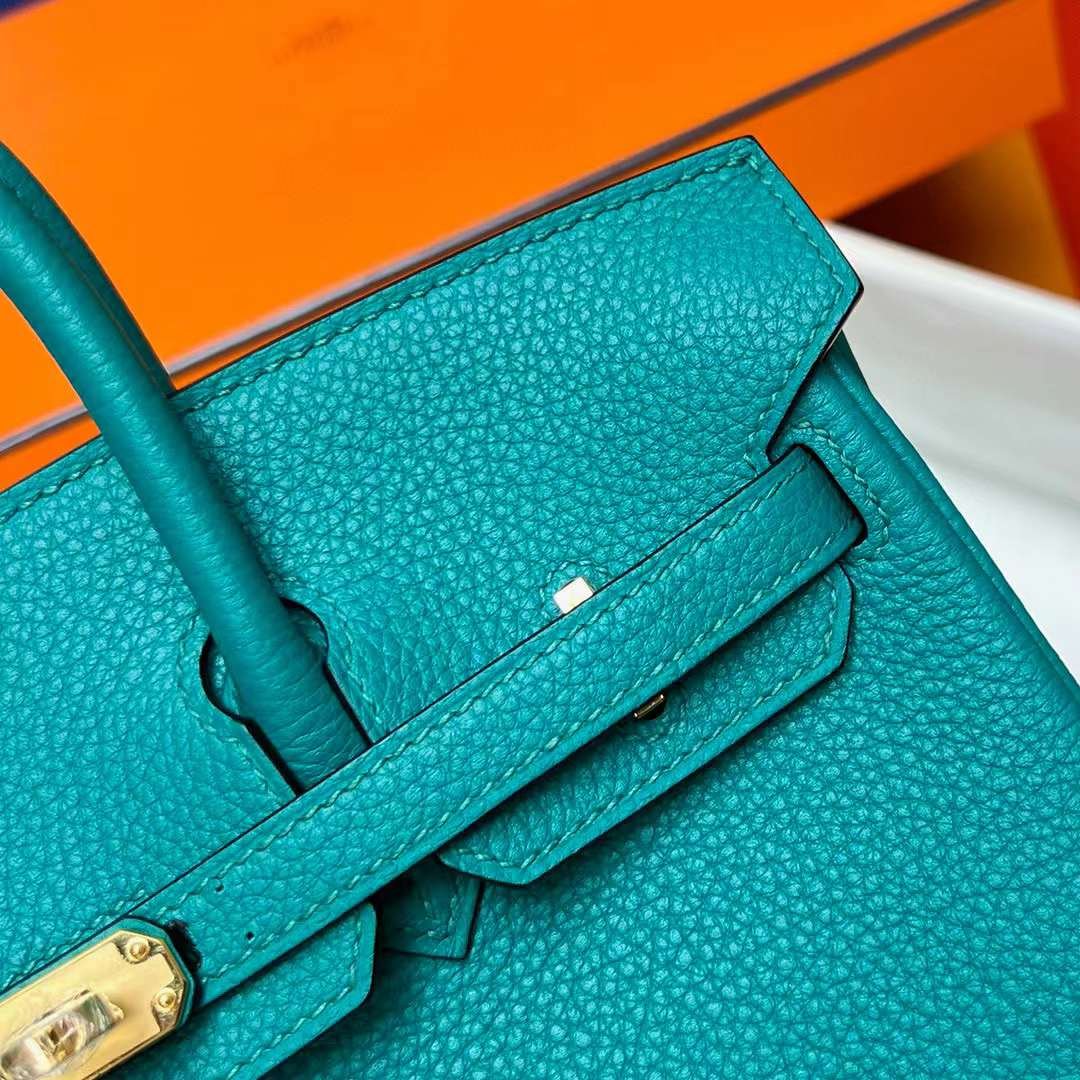 Birkin 25