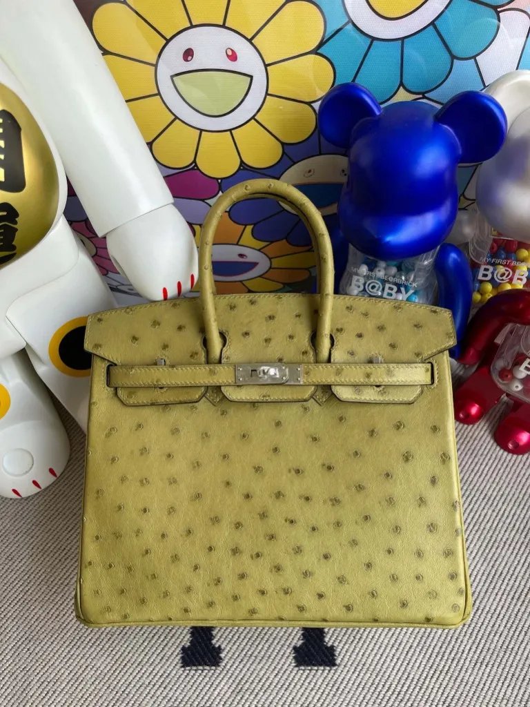 Birkin 25