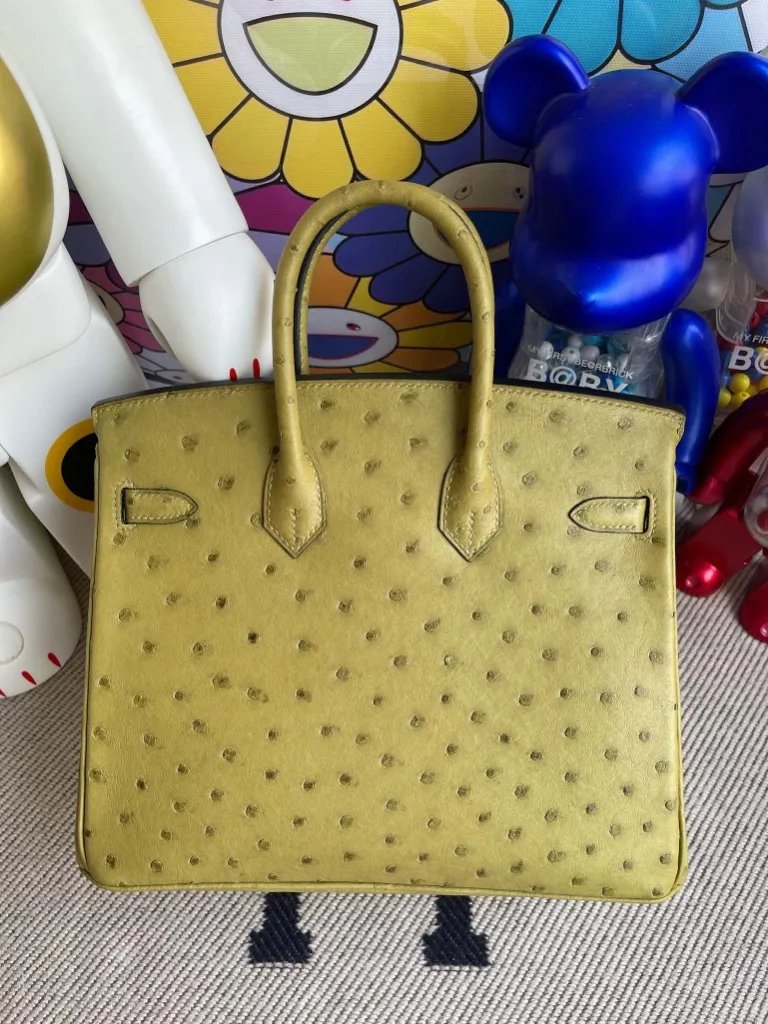 Birkin 25