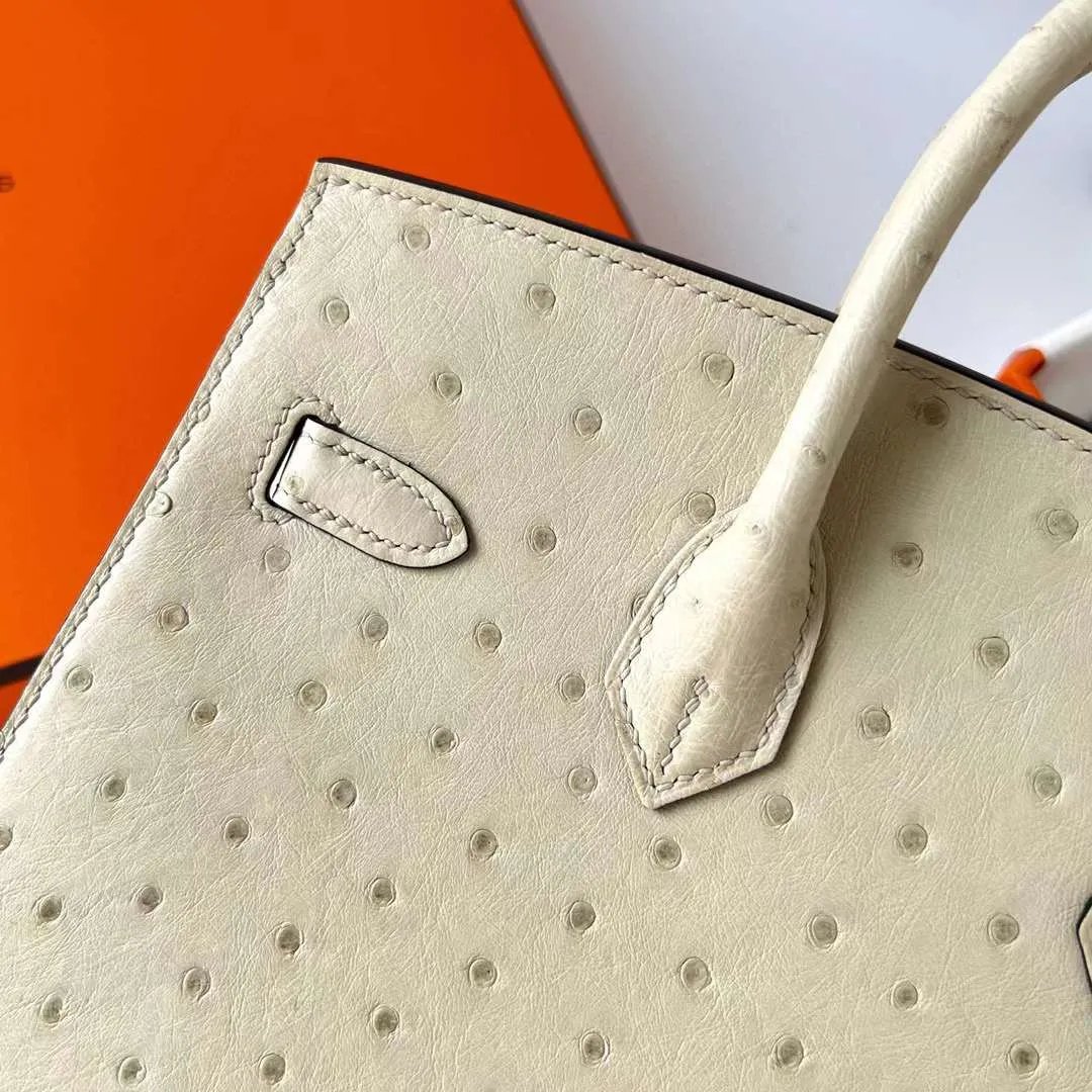 Birkin 25