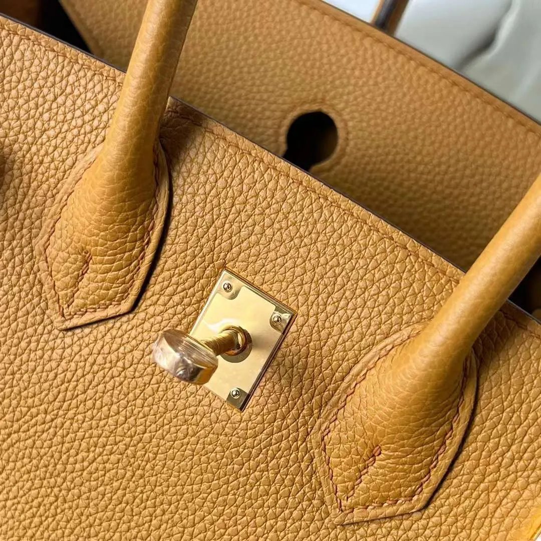Birkin 25