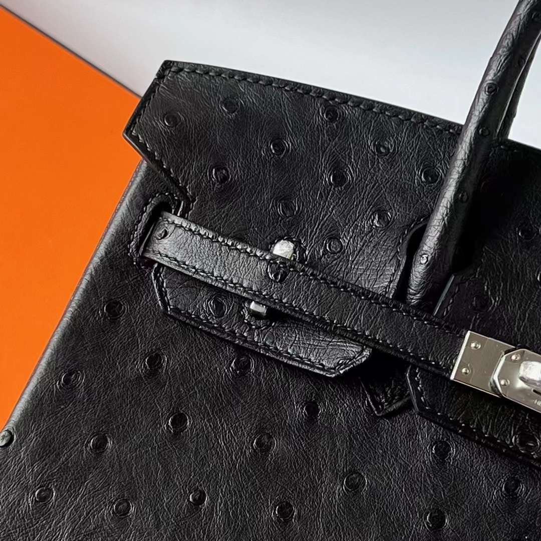 Birkin 25
