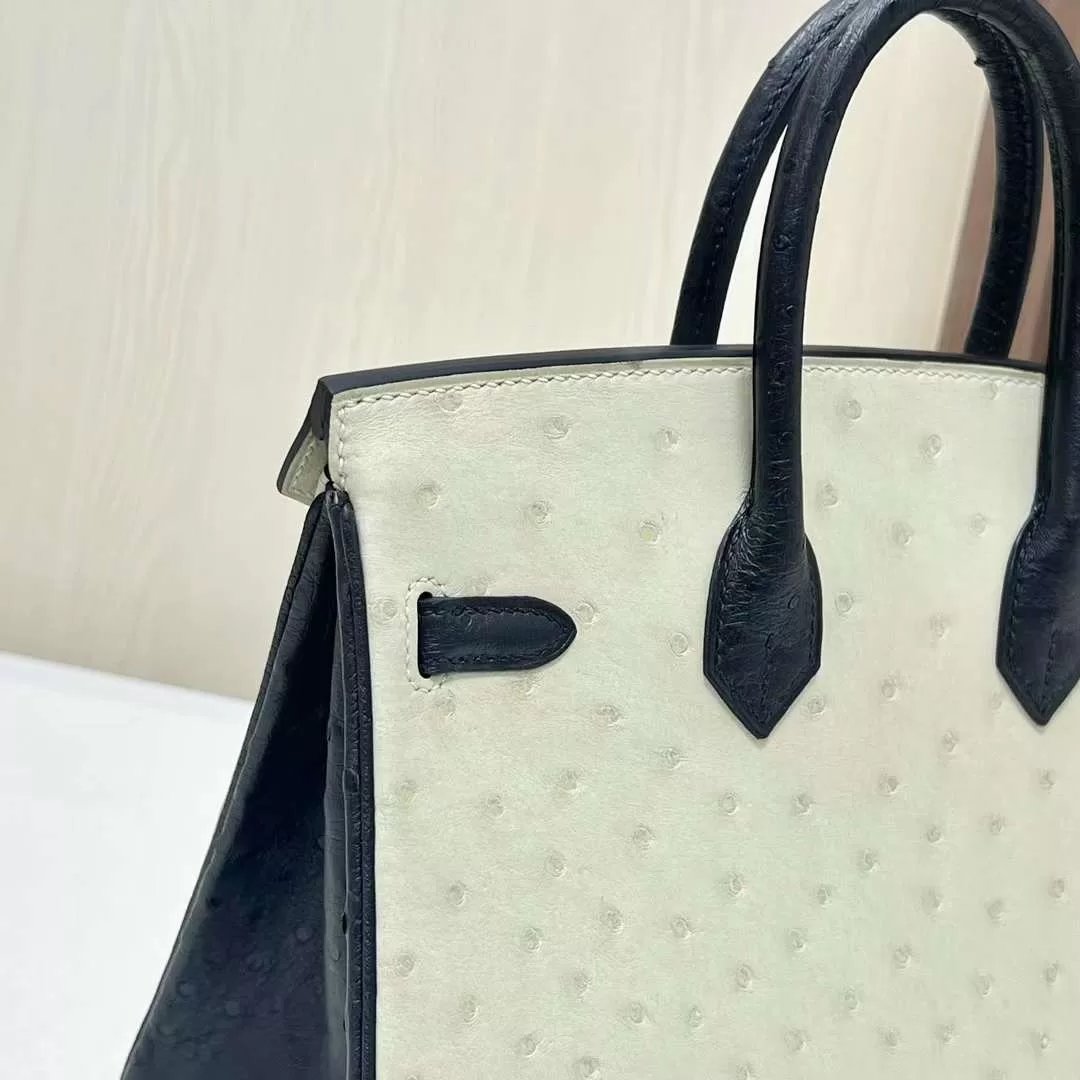 Birkin 25