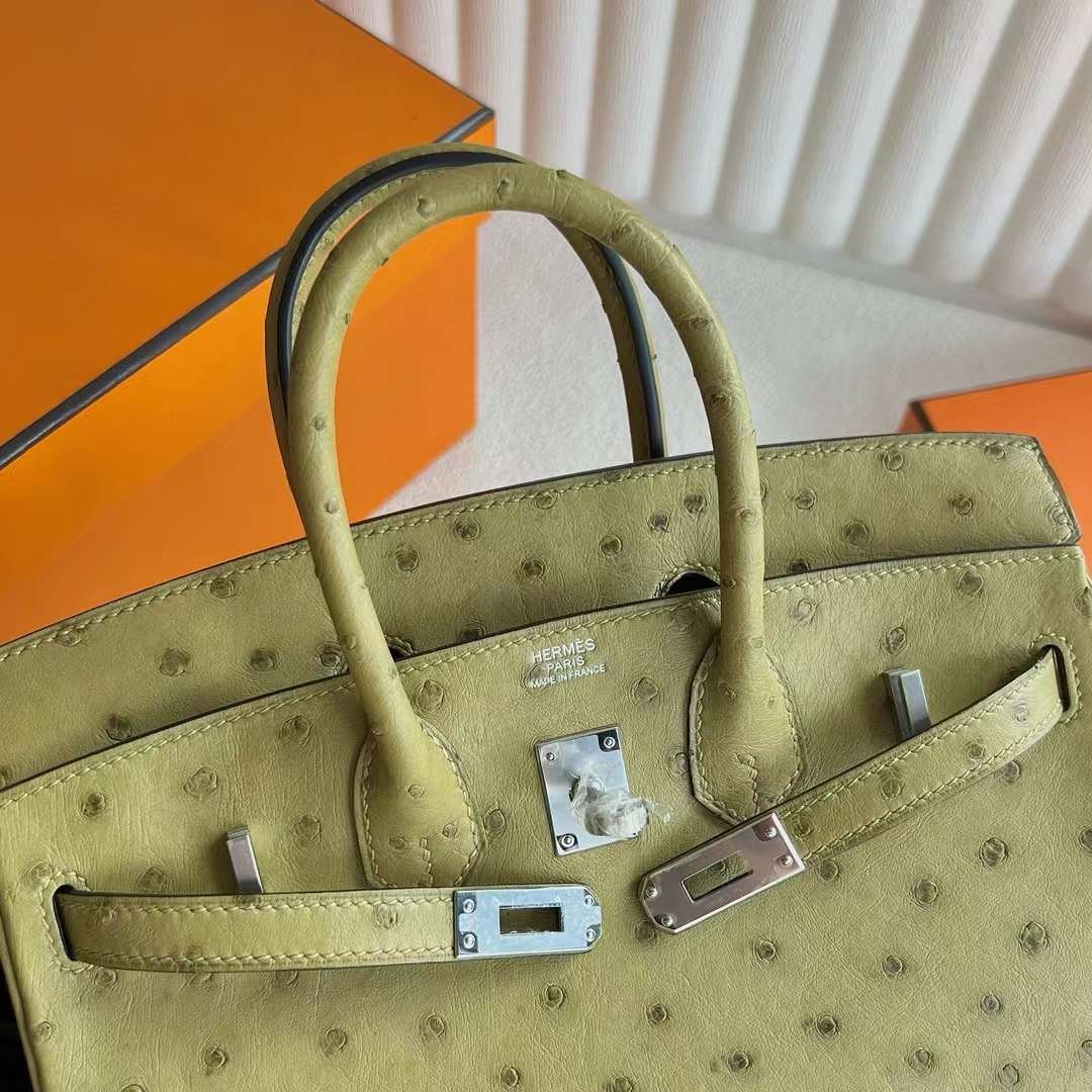 Birkin 25