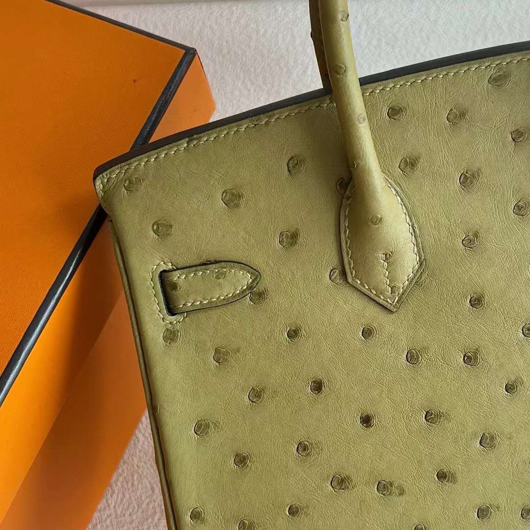 Birkin 25