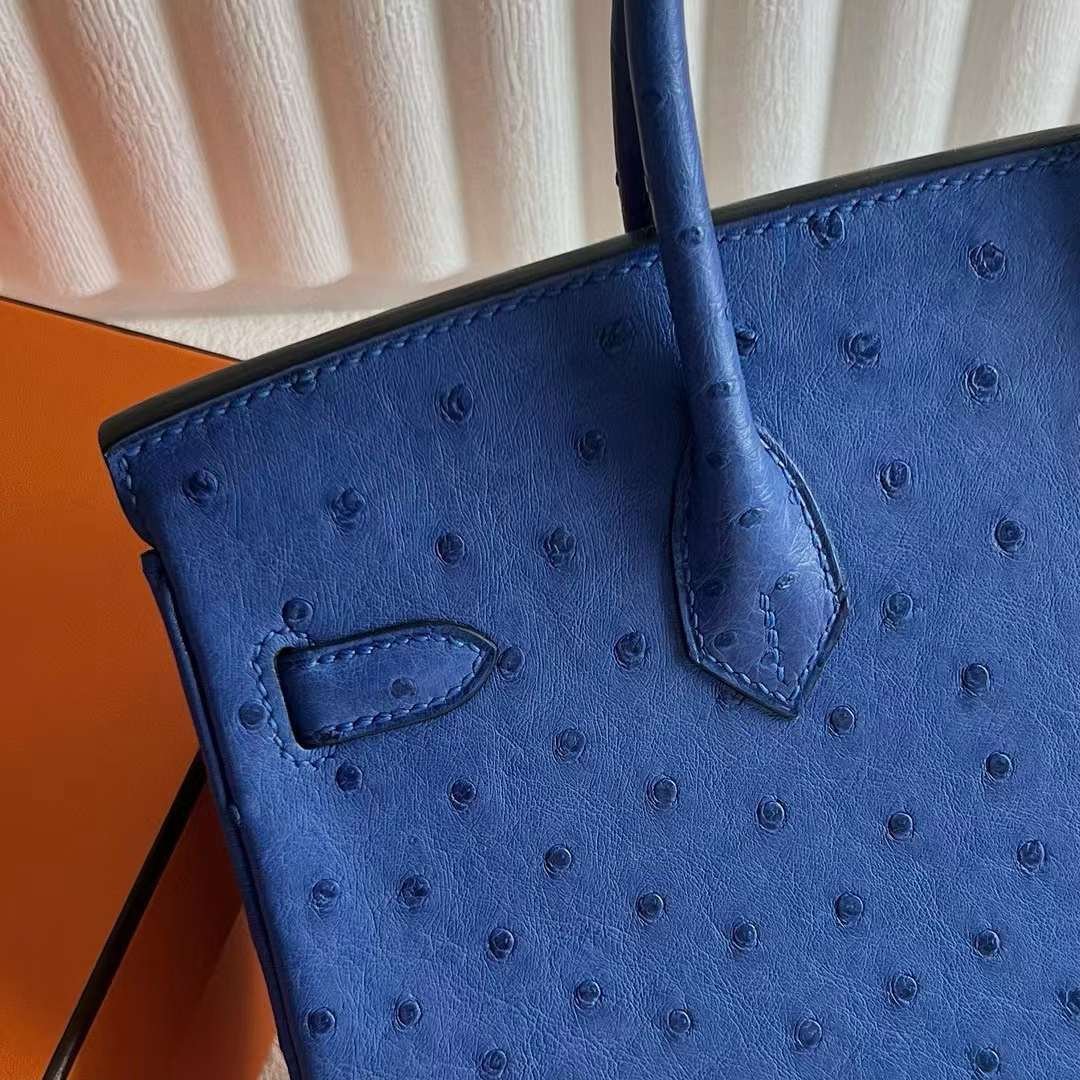 Birkin 25
