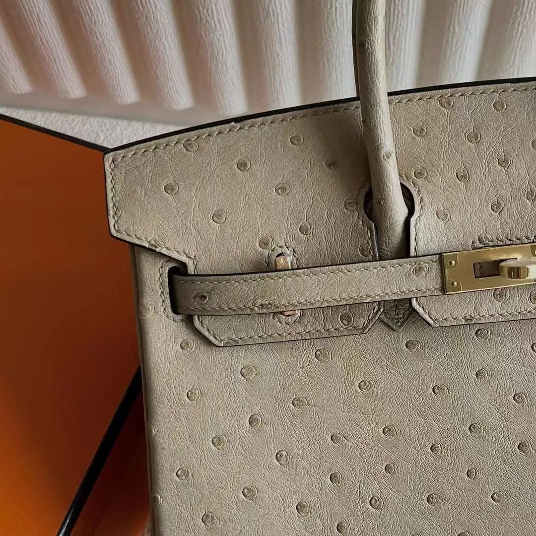 Birkin 25