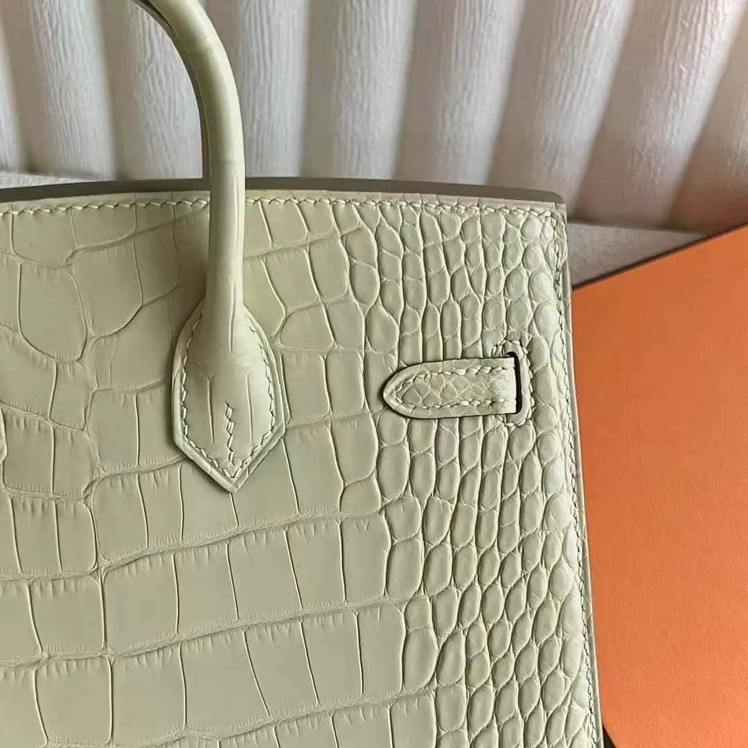 Birkin 20