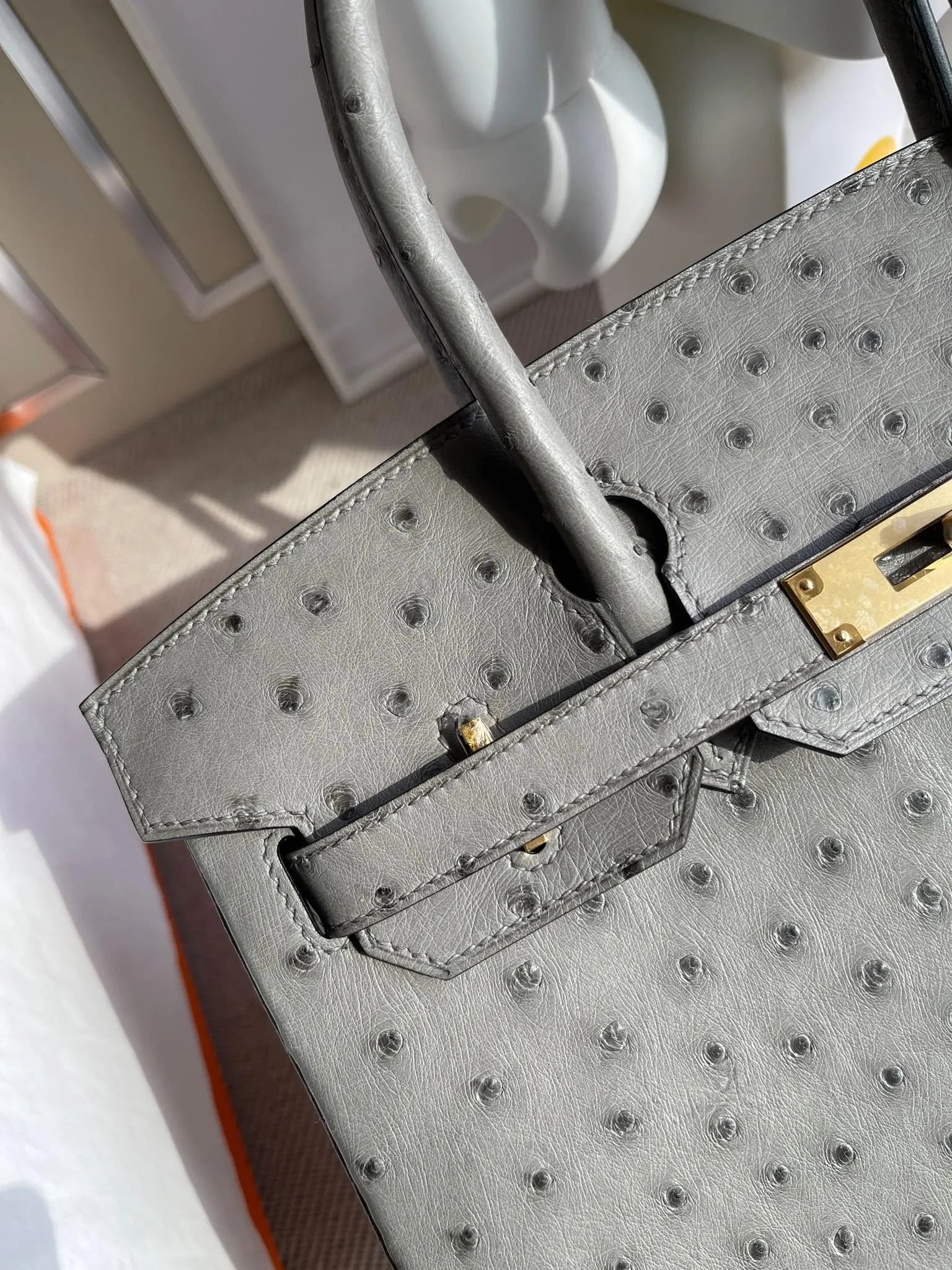 Birkin 30