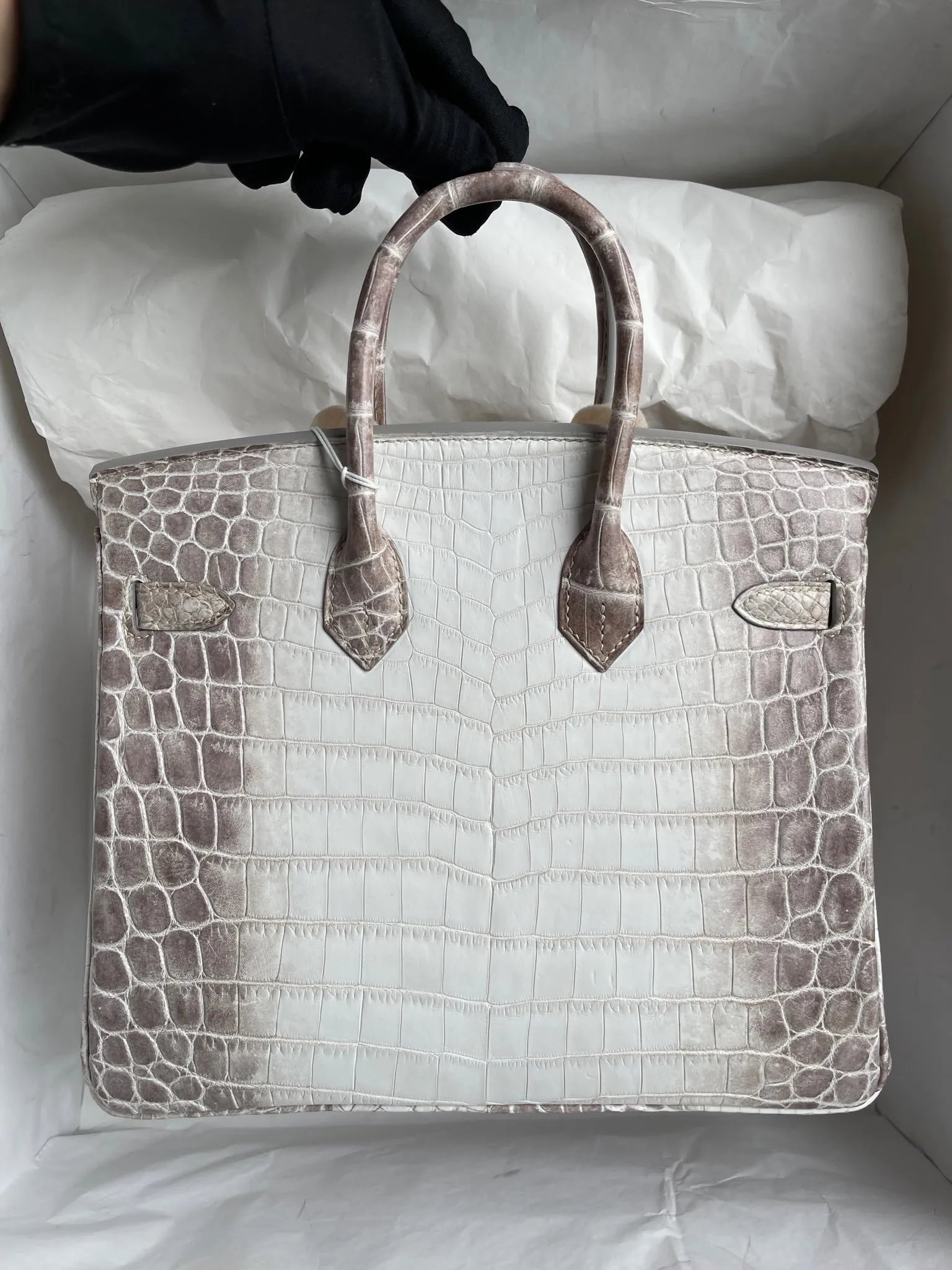 Birkin 25