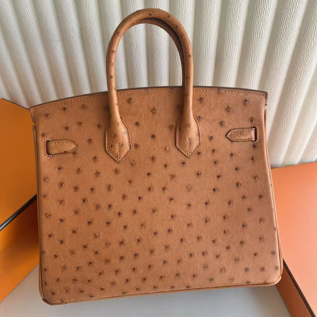 Birkin 25