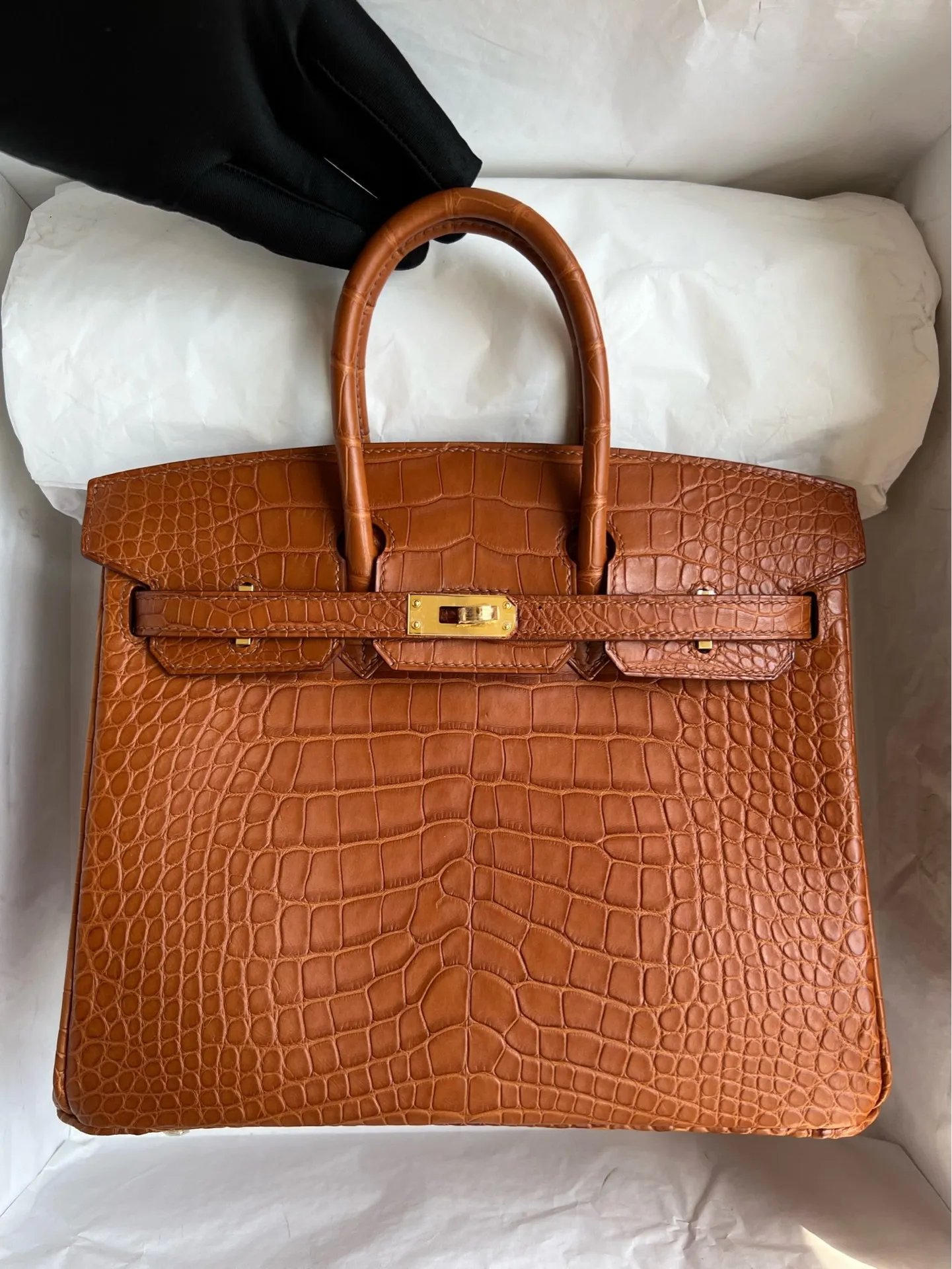 Birkin 25