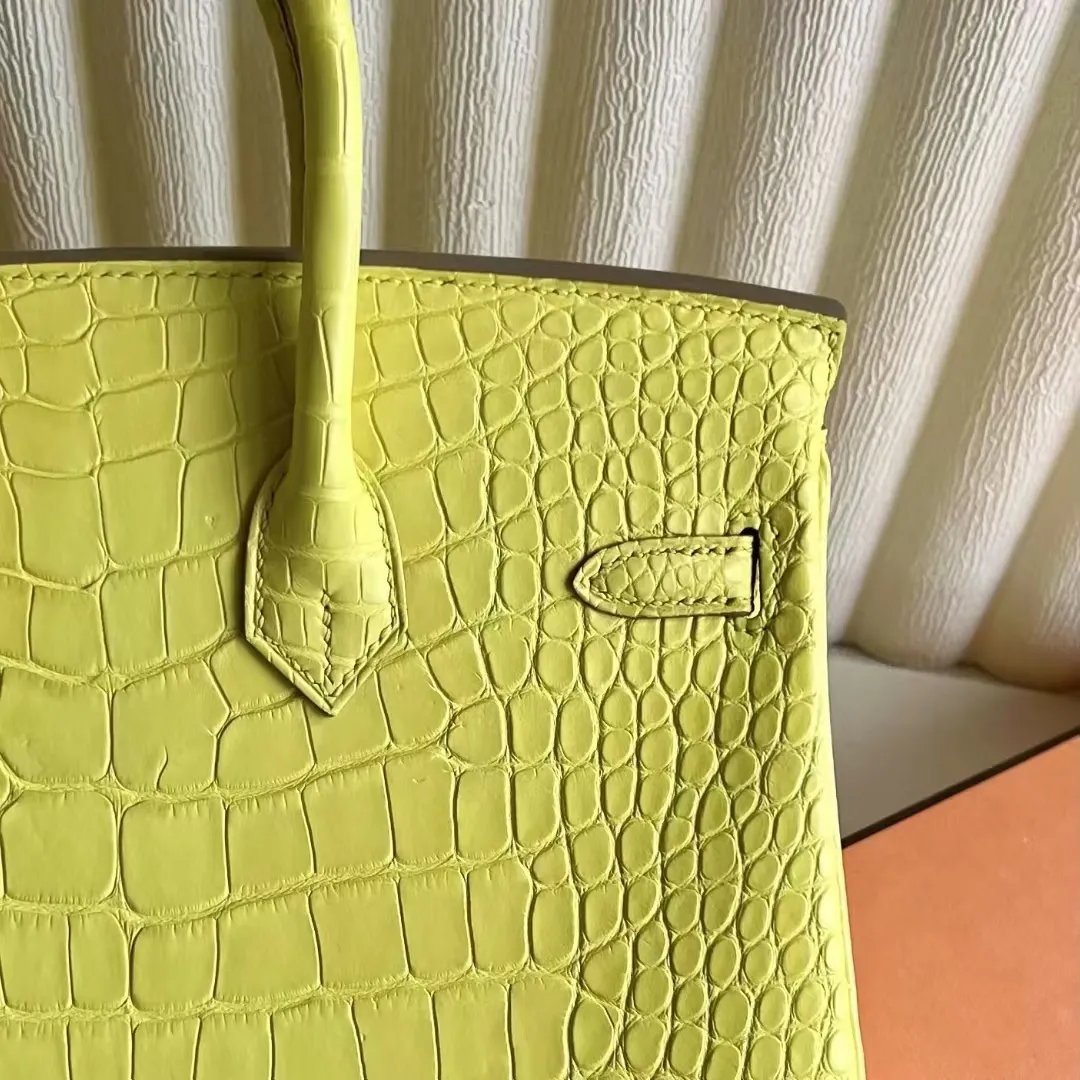 Birkin 25