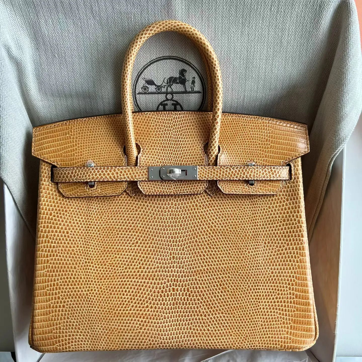 Birkin 25
