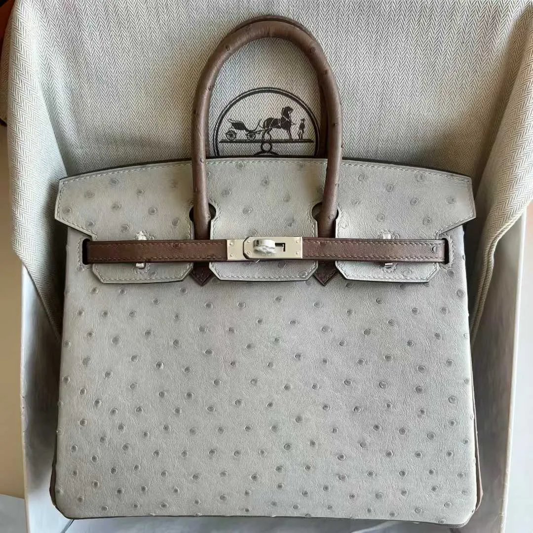 Birkin 25