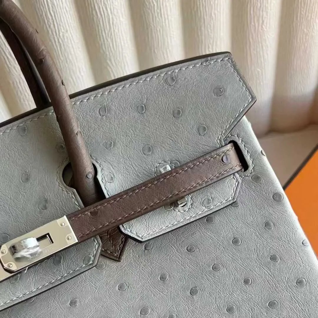 Birkin 25