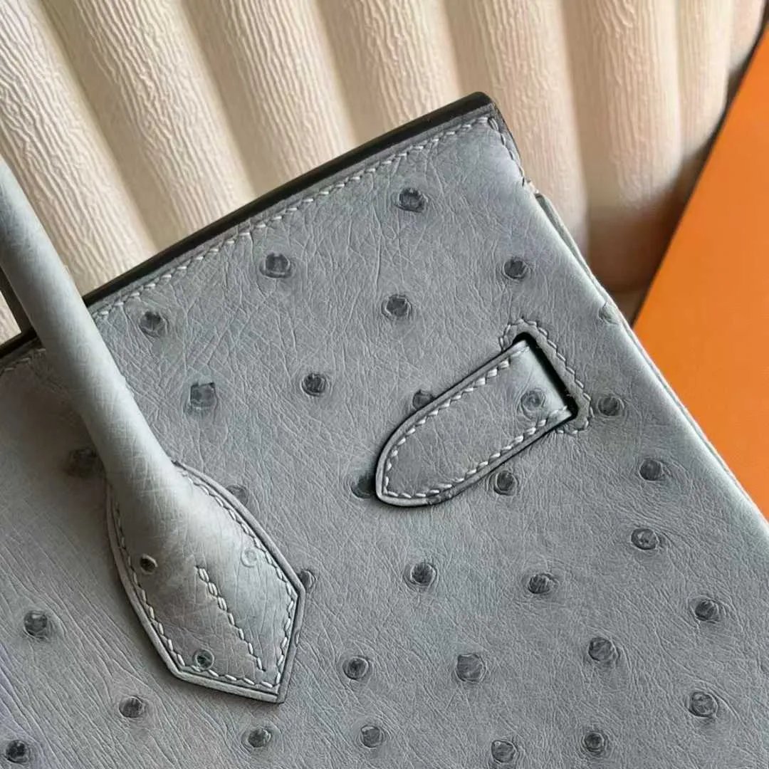 Birkin 30