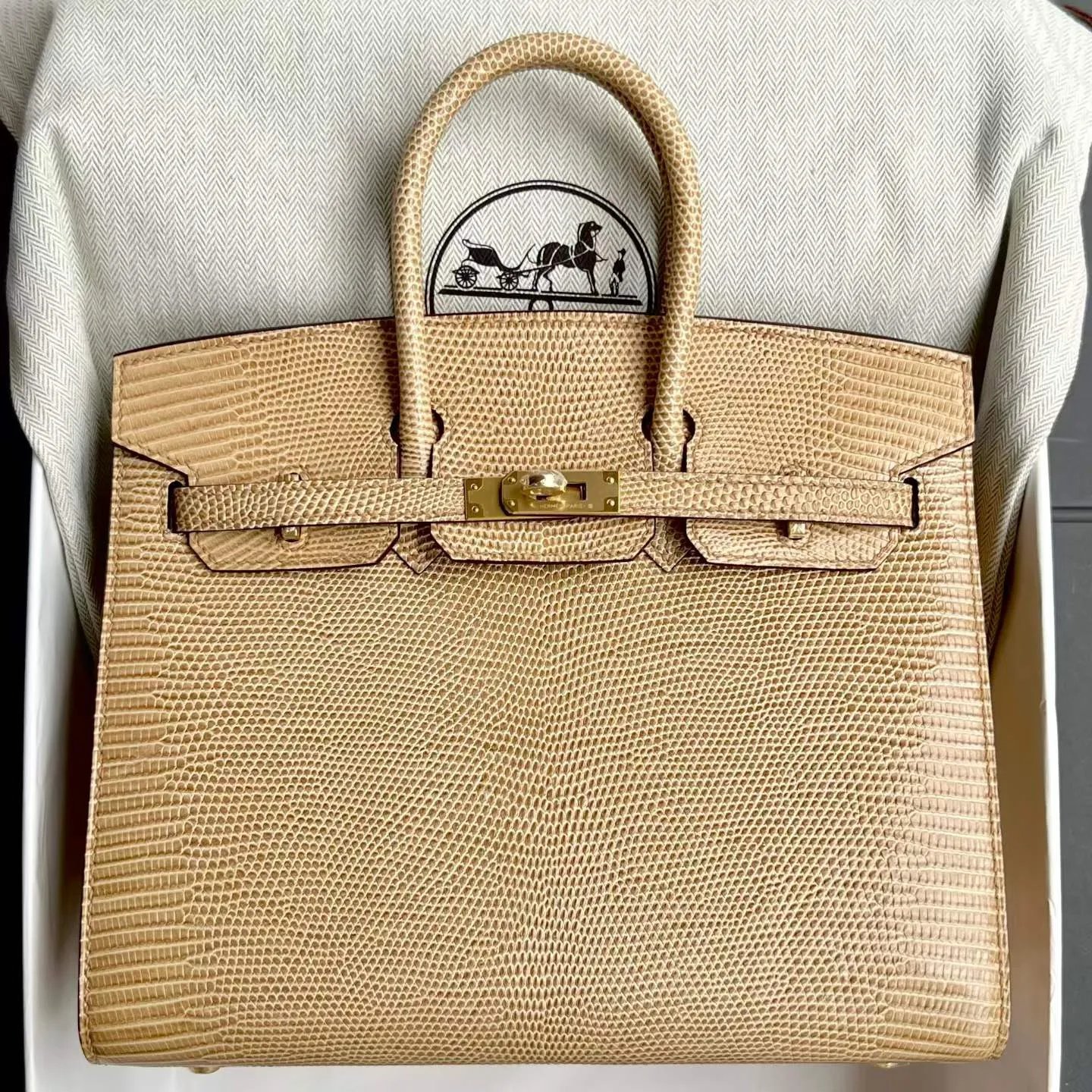 Birkin 25