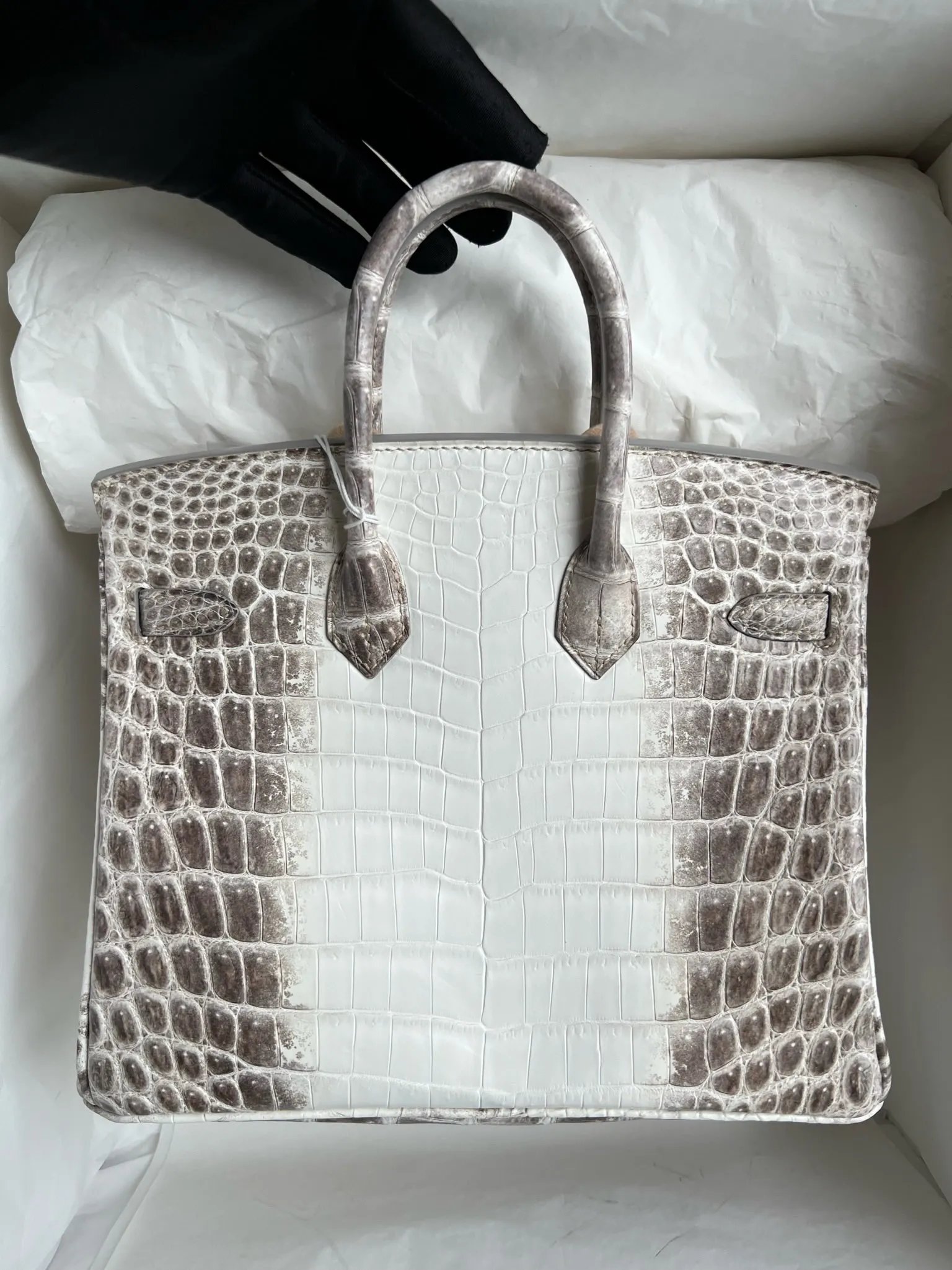 Birkin 25