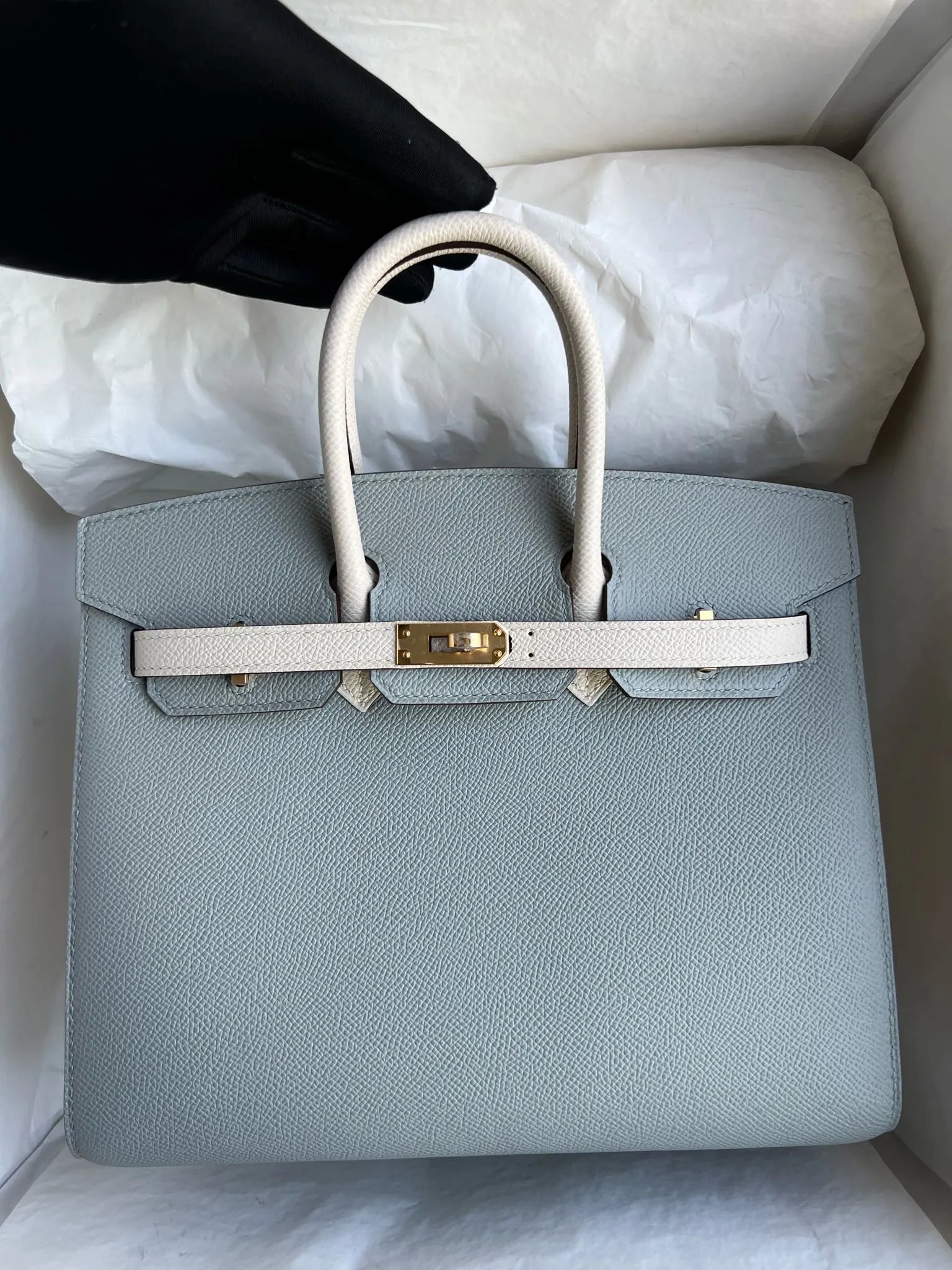 Birkin 25