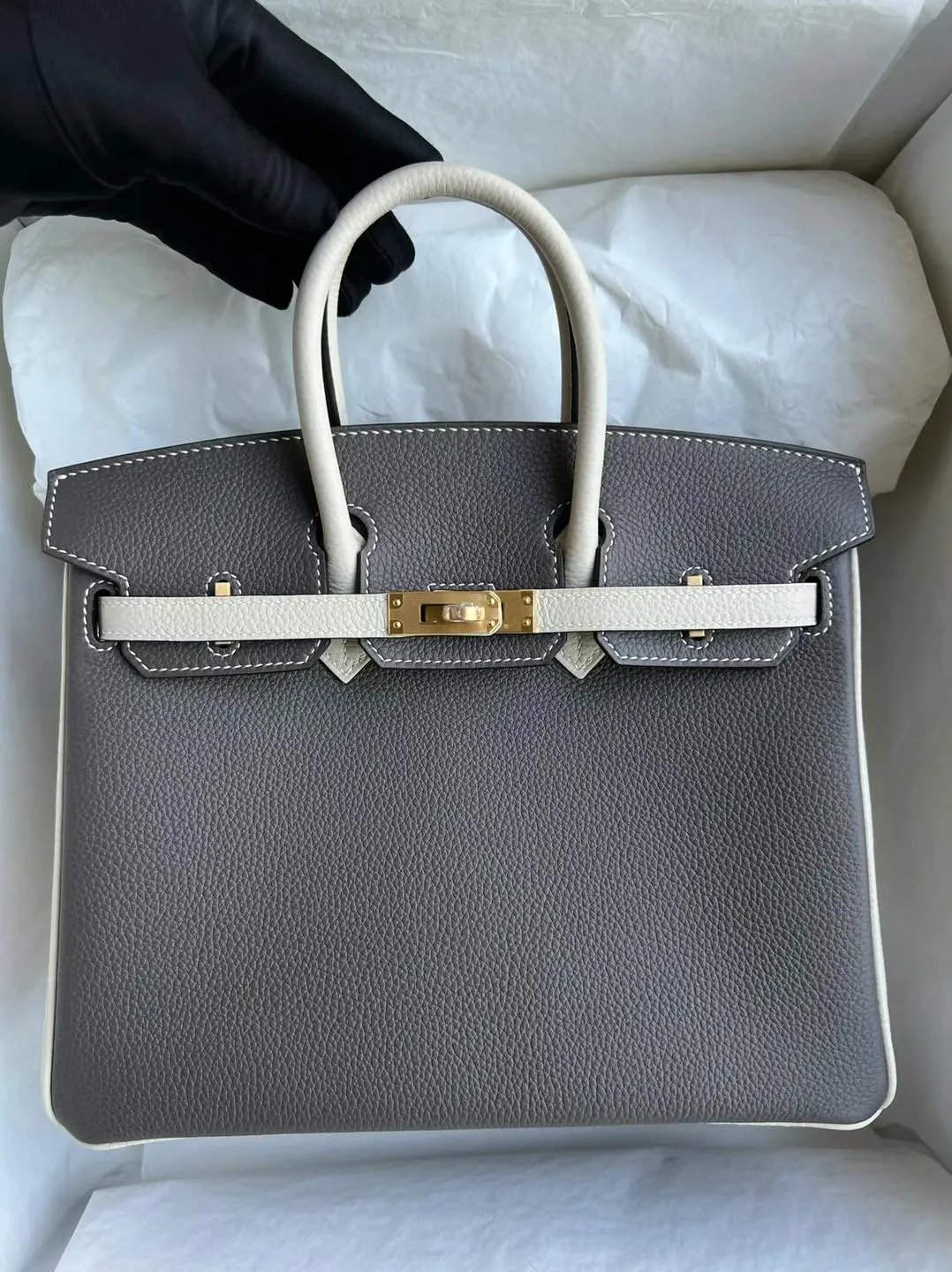 Birkin 25