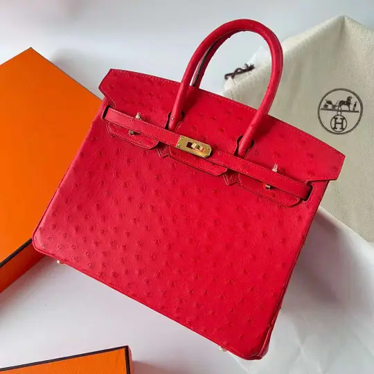 Birkin 25
