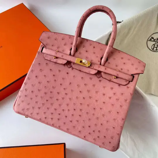Birkin 25