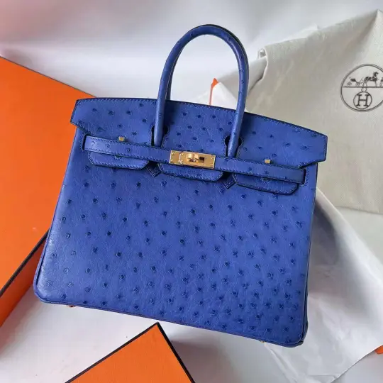 Birkin 25