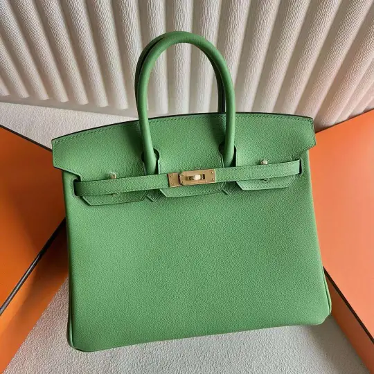 Birkin 25