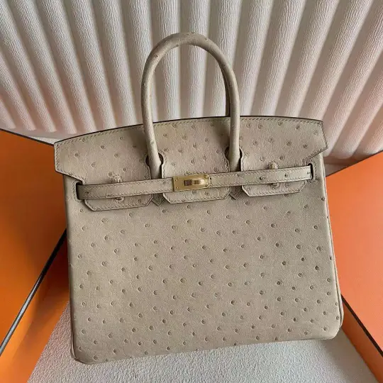 Birkin 25