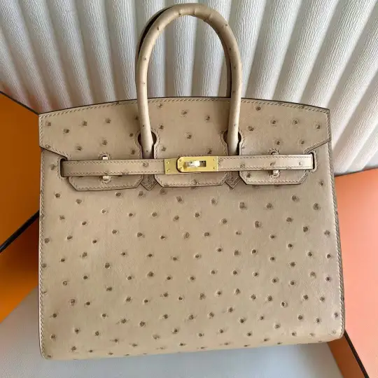 Birkin 25