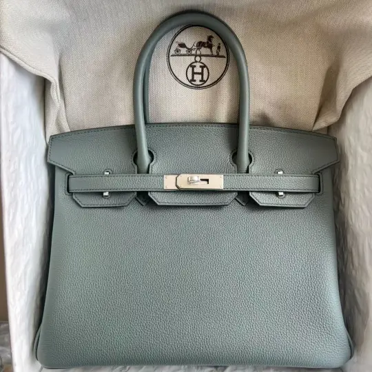 Birkin 30