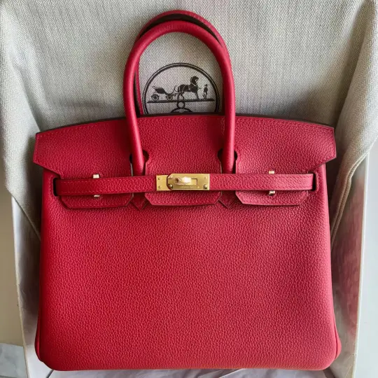 Birkin 25