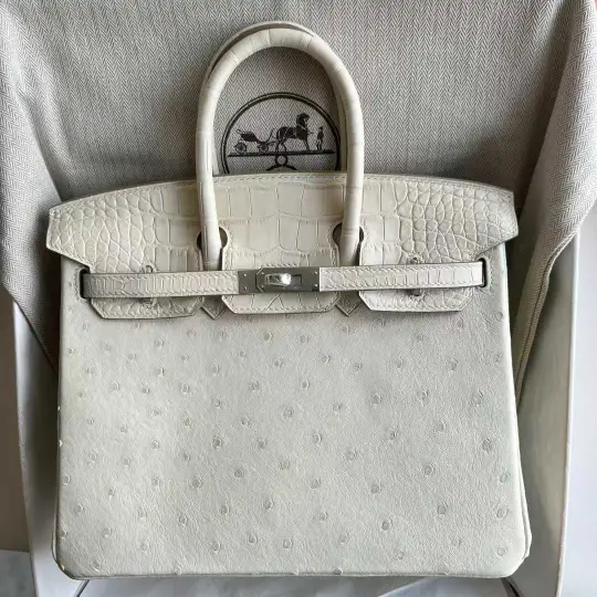 Birkin 25