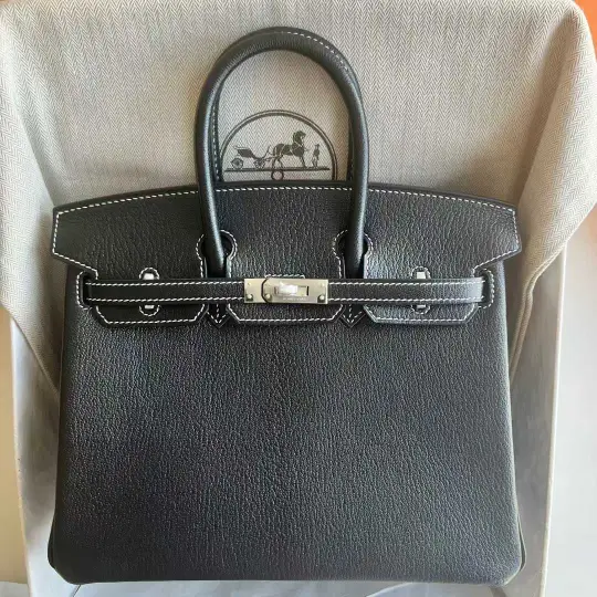 Birkin 25