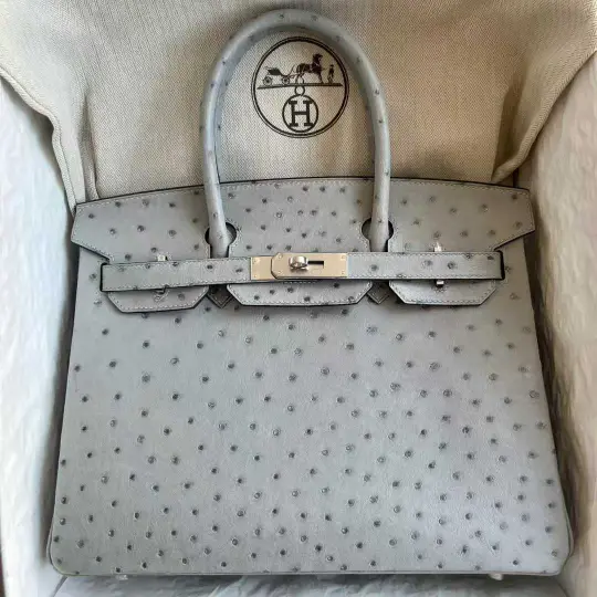 Birkin 30