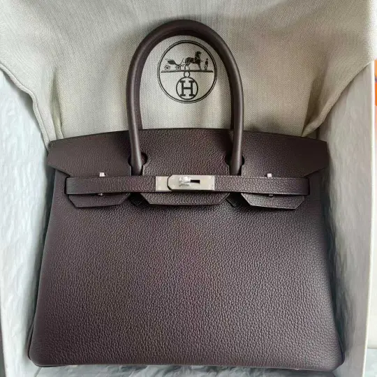 Birkin 30