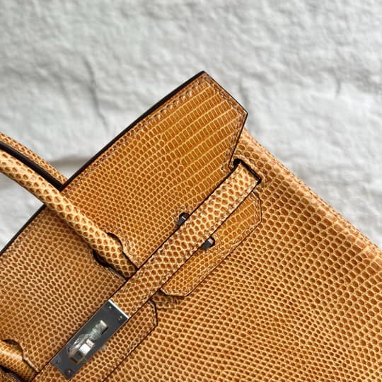 Birkin 25