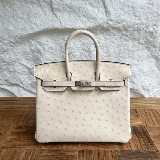 Birkin 25